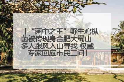 “菌中之王”野生鸡枞菌被传现身合肥大蜀山 多人跟风入山寻找 权威专家回应市民三问