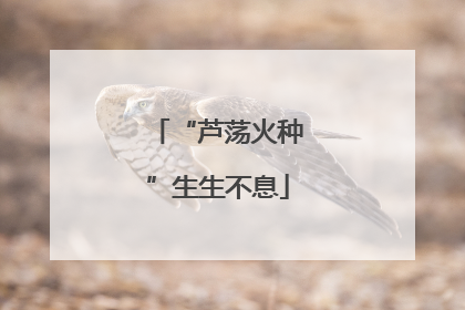 “芦荡火种”生生不息