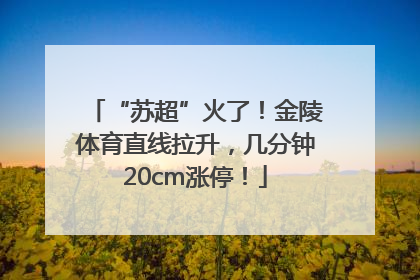 “苏超”火了！金陵体育直线拉升，几分钟20cm涨停！