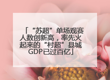 “苏超”单场观赛人数创新高，率先火起来的“村超”县城GDP已过百亿