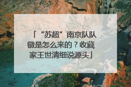 “苏超”南京队队徽是怎么来的？收藏家王世清细说源头