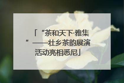 “茶和天下·雅集”——壮乡茶韵展演活动亮相悉尼