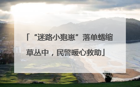“迷路小狍崽”落单蜷缩草丛中，民警暖心救助