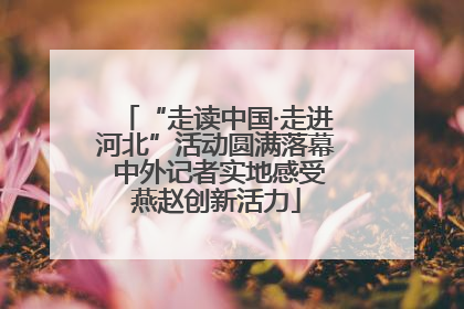 “走读中国·走进河北”活动圆满落幕 中外记者实地感受燕赵创新活力