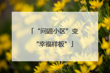 “问题小区”变“幸福样板”