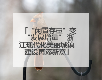 “闲置存量”变“发展增量” 浙江现代化美丽城镇建设再添新意