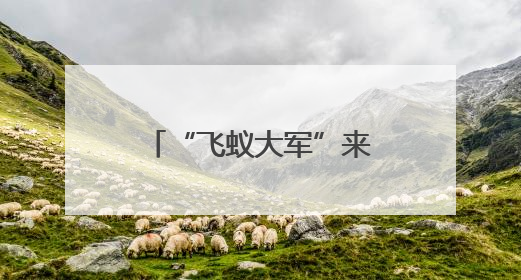 “飞蚁大军”来了，如何防？