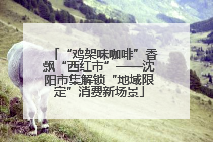“鸡架味咖啡”香飘“西红市”——沈阳市集解锁“地域限定”消费新场景