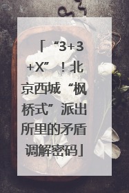 “3+3+X”！北京西城“枫桥式”派出所里的矛盾调解密码