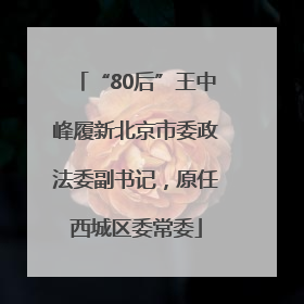 “80后”王中峰履新北京市委政法委副书记，原任西城区委常委