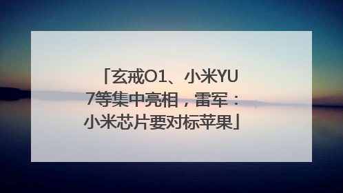 玄戒O1、小米YU7等集中亮相，雷军：小米芯片要对标苹果