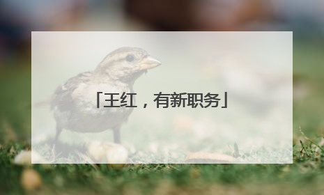 王红，有新职务