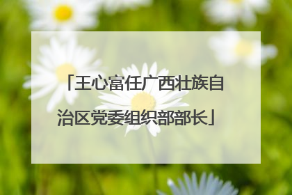 王心富任广西壮族自治区党委组织部部长