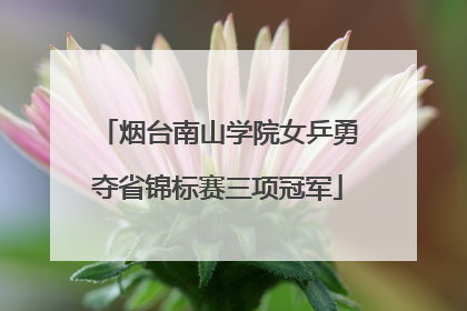 烟台南山学院女乒勇夺省锦标赛三项冠军