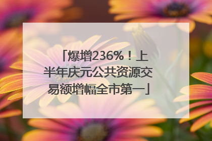 爆增236%！上半年庆元公共资源交易额增幅全市第一