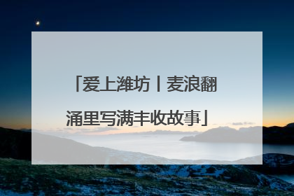 爱上潍坊丨麦浪翻涌里写满丰收故事