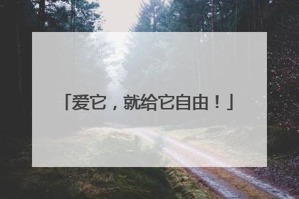爱它，就给它自由！