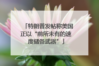 特朗普发帖称美国正以“前所未有的速度储备武器”