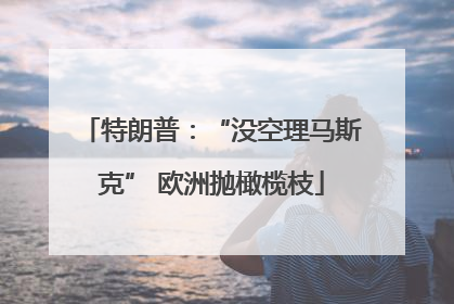 特朗普：“没空理马斯克” 欧洲抛橄榄枝