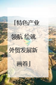 特色产业领航 绘就外贸发展新画卷