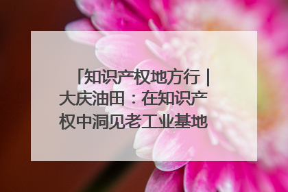 知识产权地方行｜大庆油田：在知识产权中洞见老工业基地的 “创新密码”