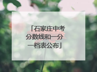 石家庄中考分数线和一分一档表公布