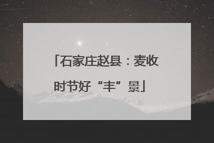 石家庄赵县：麦收时节好“丰”景