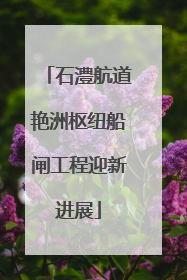 石澧航道艳洲枢纽船闸工程迎新进展