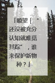瞭望｜“还没被充分认知就难觅其踪”，谁来保护新物种？
