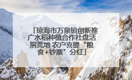 琼海市万泉镇创新推广水稻种植合作社盘活撂荒地 农户喜提“粮食+钞票”分红