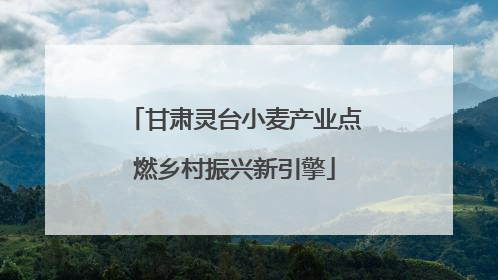 甘肃灵台小麦产业点燃乡村振兴新引擎