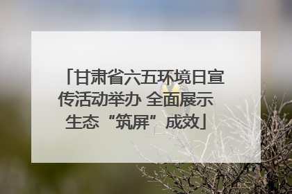 甘肃省六五环境日宣传活动举办 全面展示生态“筑屏”成效