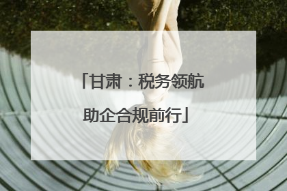 甘肃：税务领航 助企合规前行