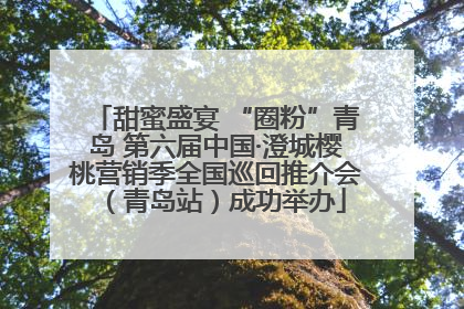 甜蜜盛宴 “圈粉”青岛 第六届中国·澄城樱桃营销季全国巡回推介会（青岛站）成功举办