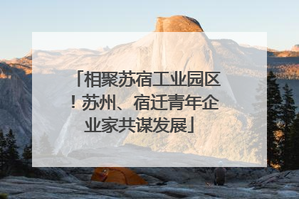 相聚苏宿工业园区！苏州、宿迁青年企业家共谋发展