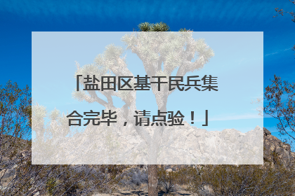 盐田区基干民兵集合完毕，请点验！