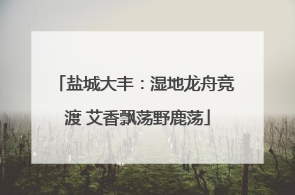 盐城大丰：湿地龙舟竞渡 艾香飘荡野鹿荡