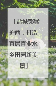 盐城郭猛护西：打造宜居宜业水乡田园新美景
