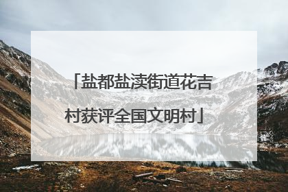 盐都盐渎街道花吉村获评全国文明村