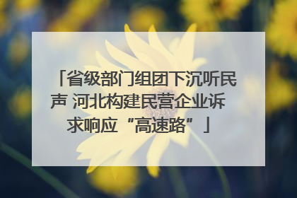 省级部门组团下沉听民声 河北构建民营企业诉求响应“高速路”