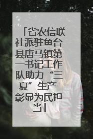 省农信联社派驻鱼台县唐马镇第一书记工作队助力“三夏”生产 彰显为民担当