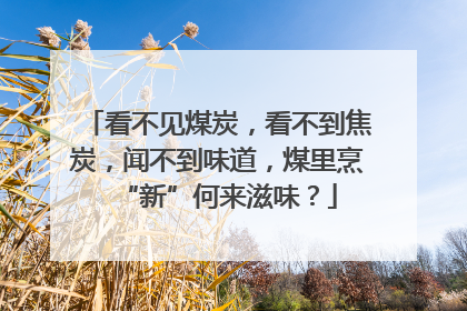 看不见煤炭，看不到焦炭，闻不到味道，煤里烹“新”何来滋味？