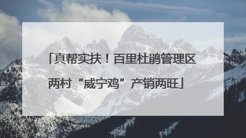 真帮实扶！百里杜鹃管理区两村“威宁鸡”产销两旺