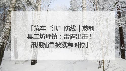 筑牢“汛”防线｜慈利县二坊坪镇：雷霆出击！汛期捕鱼被紧急叫停
