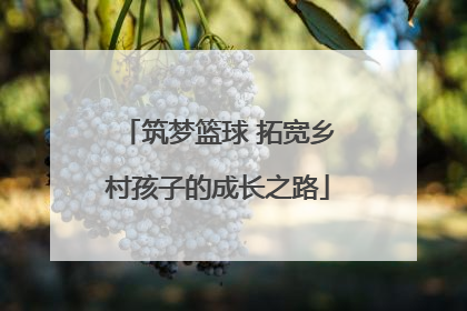 筑梦篮球 拓宽乡村孩子的成长之路
