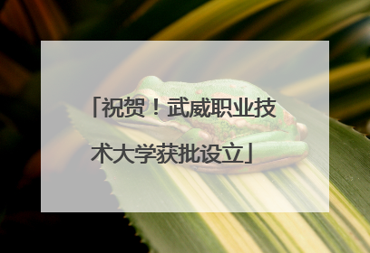 祝贺！武威职业技术大学获批设立