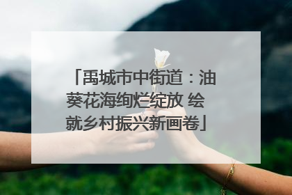 禹城市中街道：油葵花海绚烂绽放 绘就乡村振兴新画卷