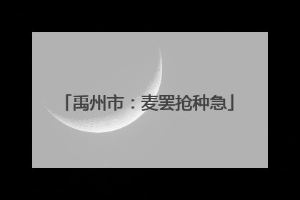 禹州市：麦罢抢种急