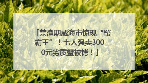 禁渔期威海市惊现“蟹霸王”！七人强卖3000元劣质蟹被铐！