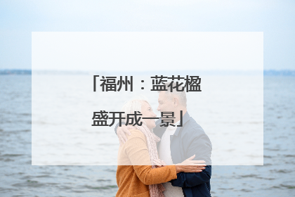 福州：蓝花楹盛开成一景